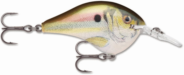 Rapala Rapala Dives-To 06 Lure Live River Shad