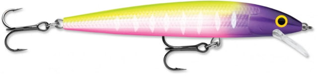Rapala Rapala Husky Jerk 08 Jig Moldy Fruit