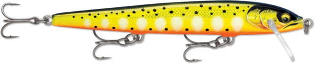 Rapala Rapala Original Floater Elite 120 Jig Gilded Hot Steel