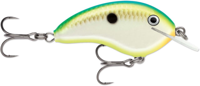 Rapala Rapala Ott's Garage Tiny 04 Lure Citrus Shad