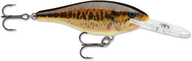Rapala Rapala Shad Rap 07 Lure Live Smallmouth Bass
