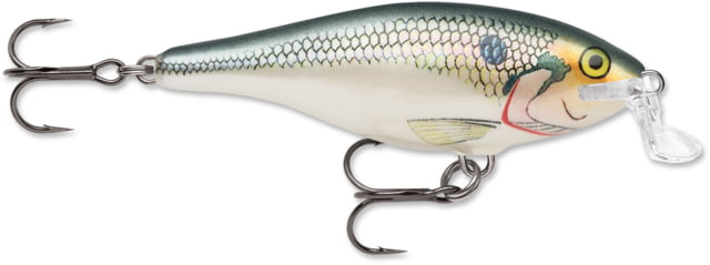 Rapala Rapala Shallow Shad Rap Crankbait 2 3/4in 1/4 oz Floating Shad