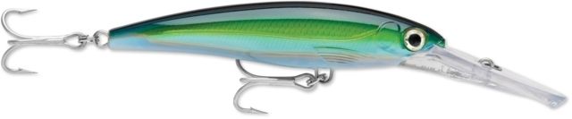 Rapala Rapala X-Rap Magnum 20 - Yellowfin Tuna 056149