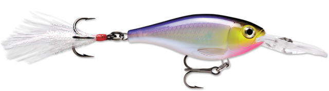 Rapala X-Rap Shad 2 1/2in 5/16 oz Suspending Purpledescent