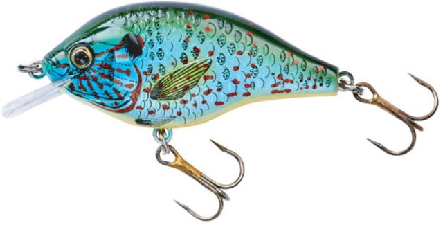 Rebel Lures Rebel Bluegill Crankbait 2 1/2in 1/4 oz Floating Punkinseed