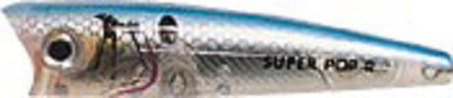 Rebel Lures Rebel Super Pop-R Topwater Bait 3 1/8in 5/16oz Floating Blue Darter