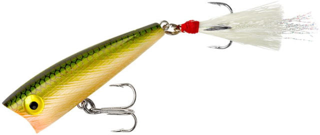 Rebel Lures Rebel Teeny Pop-R Topwater Bait 2in 1/8oz Floating Tennessee Shad