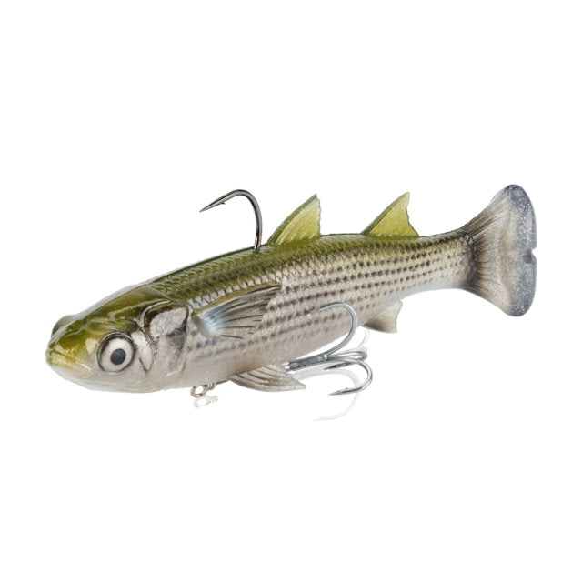 Savage Gear 3D LT Mullet Pro Swim Soft Bait Pack of 1 6in Green Silver Mullet