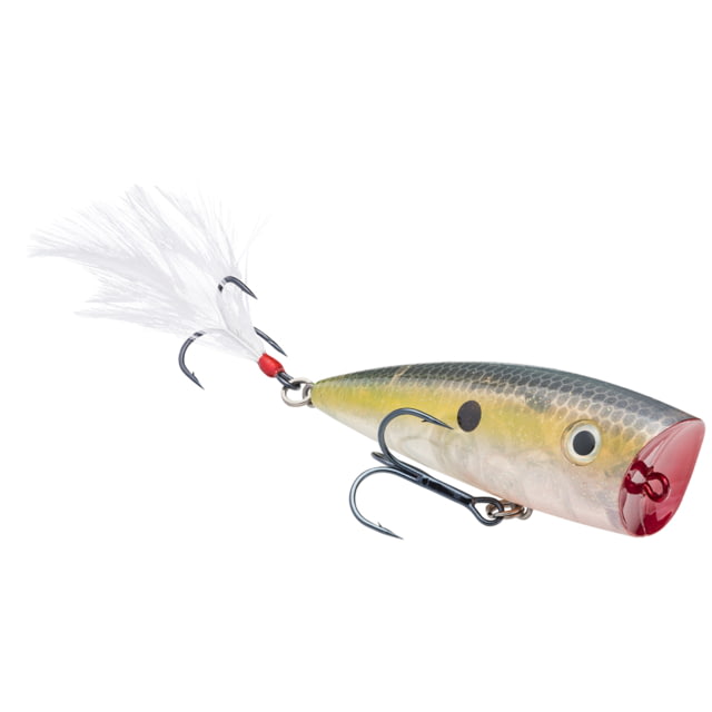 Strike King KVD Splash Fishing Lure Topwater Popper Clear Ghost Sexy Shad 3/8oz