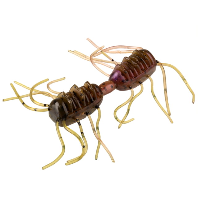 Strike King Strike King Sexy Bug Softbait 6 pack 2in Grape Whiskey
