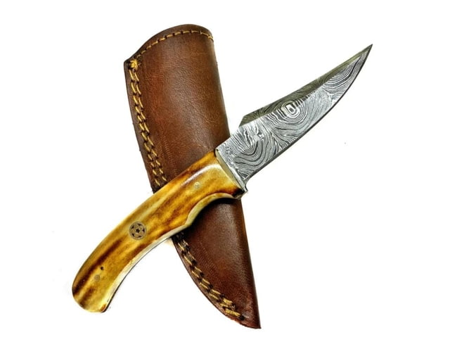 Titan International Knives Damascus Burnt Bone Handle Fixed Blade Hunting Knife 8 inch