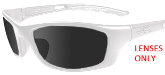 Wiley X Wiley X P-17 Replacement Parts - Black Ops - Smoke Grey Lens Only