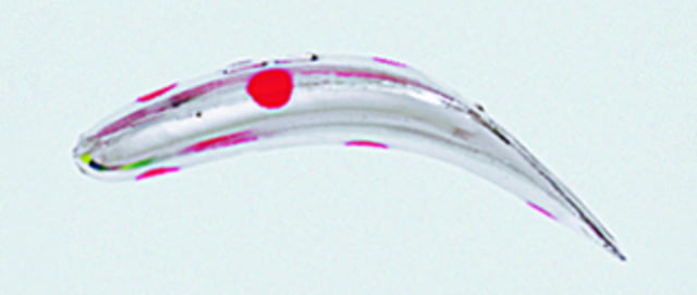 Yakima Bait Flatfish Wiggling Plug #F-4 Treble Hooks Floating Metallic Silver Red Spot 1-1/2in