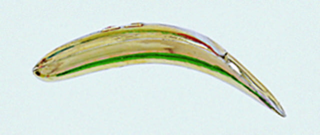 Yakima Bait Flatfish Wiggling Plug #F-7 Treble Hooks Floating Metallic Gold 2-1/4in