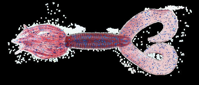 Yamamoto Baits Double Tail 5in Hula Grub 10 Pack Cinnamon-Red-Blue
