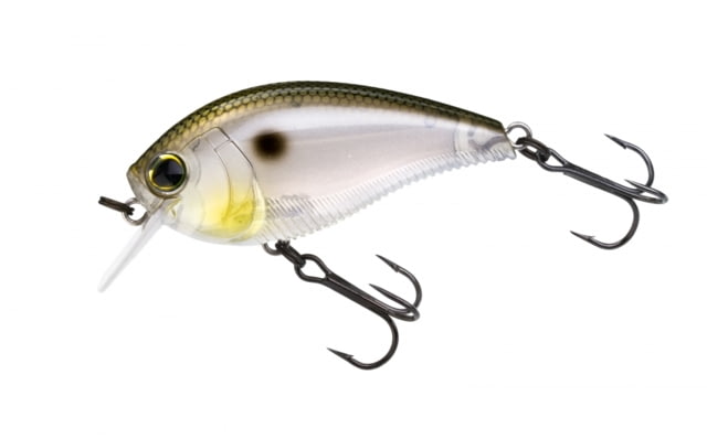 Yo-Zuri 3DB Crank 1.5 Squarebill Lure 60mm Gizzard Shad  GZSH