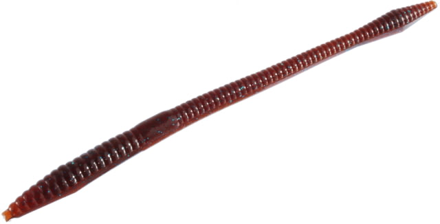 Zoom Trick Worm 20 Pack 6.5in Scuppernong Blue