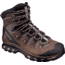 Salomon Quest 4D 2 GTX Backpacking Boot - Men's-Fossil/Rain Drum/Humus-Medium-8.5