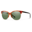 Smith Rebel Sunglasses, Matte Honey Tort/Black Frame, Polarized Gray Green Lens, Polarized, BLCPGNMHT