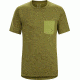 Arc'teryx Anzo T-Shirt - Men's-Roman Pine-Medium