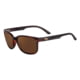 Berkley BER004 Sunglasses - Womens Tortoise Frame Brown Lens