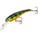 Cotton Cordell Wally Diver Crankbait 2 1/2in 1/4 oz Floating Gold Perch