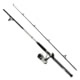 Daiwa D-Wave Saltwater Rod and Reel Combo - 1BB 7ft Medium 2 Pieces