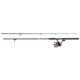 Daiwa D-Wave Saltwater Rod and Reel Combo - 2BB 8ft Medium 2 Pieces
