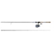 Daiwa Legalis LT Spinning Reel and Rod Combo 6ft6 Medium 2 Pieces 5BB + 1RB