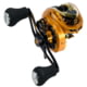 Favorite Fishing Soleus XCS casting reel Gold/Gold 6.6:1 Left Gold/Gold