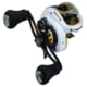 Favorite Fishing Soleus XCS casting reel White/Gold XCS 6.6:1 Left White/Gold