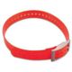 Garmin TT 10 Collar Strap Red