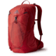 Gregory Miko 25 Daypack, Sumac Red, One Size, 145276-9973
