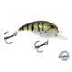 Livingston Lures Dive Master Jr Lure Baby Bass