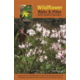 Milestone Press Wildflower Hikes & Walks Nc Mt