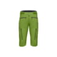 Norrona Fjora Flex1 Shorts - Men's Norrona Green Small