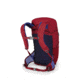 Osprey Jet 18 Backpacks - Kids, Cosmic Red, One Size, 10002389