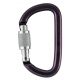 Petzl Am'D Carabiner Gray Screw-Lock M34A SL