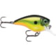 Rapala BX Brat Squarebill Crankbait 6 2in 3/8 oz Homer's Buddy