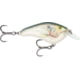 Rapala Ott's Garage Slim 06 Lure Shad