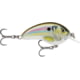 Rapala Ott's Garage Tiny 04 Lure Live River Shad