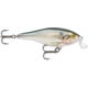 Rapala Shallow Shad Rap Crankbait 3 1/2in 3/8 oz Floating Shad