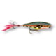 Rapala Skitter Pop Topwater Lure 2 3/4" 1/4 oz Frog Floating