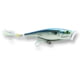 Rapala Skitter Pop Topwater Lure Mullet 7/16oz 4 3/4in