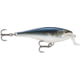 Rapala Super Shad Rap 14 Lure Mullet