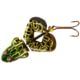 Rebel Lures Rebel Buzz'N Frog Topwater Bait 2 1/2in 1/2oz Floating Bullfrog