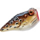 Rebel Lures Rebel Pop'N Frog Topwater Bait 1 7/8in 3/16 oz Floating Cricket Frog
