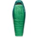 Sea to Summit Ascent Down Sleeping Bag Rainforest Green Long