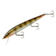 Smithwick Perfect 10 Rogue Jerkbait 5.5in 5/8 oz Lerch