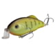 Strike King Hybrid Hunter Jr Shallow Fishing Lure Shallow Diving Crankbait Chartreuse Perch 1/2oz